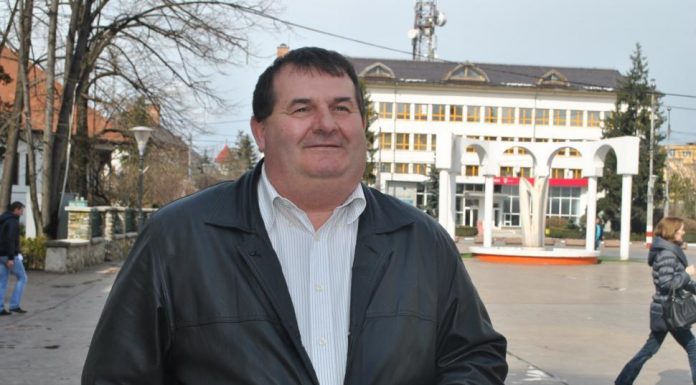 Petrescu, din nou șef de partid