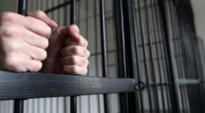 A fugit de polițiști, bărbatul urmărit, prins și încarcerat