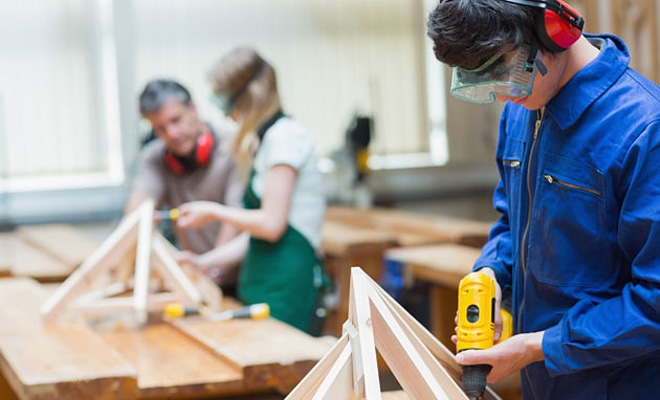 invatamant profesional