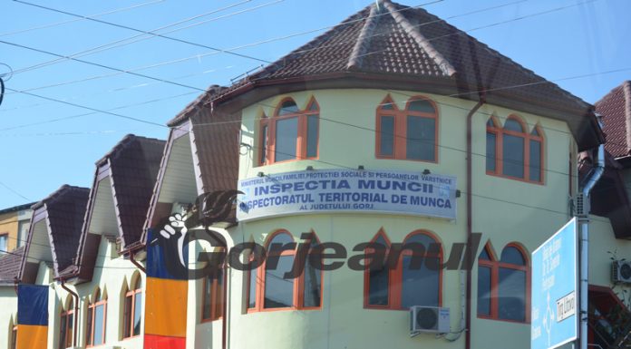 Amenzi de 76.000 de lei pentru angajatorii gorjeni