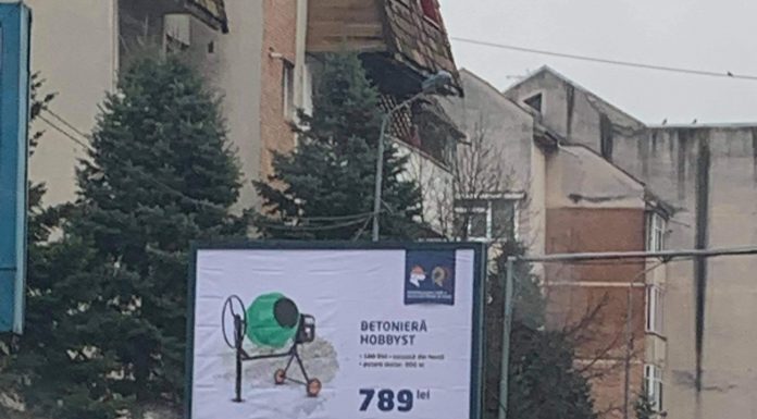 Bolizi loviți pe strada Victoria în Târgu Jiu