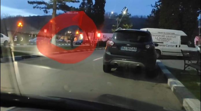 Video: Vârstnic surprins în timp ce sustrăgea un butaș de trandafir de pe domeniul public