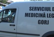 Accident de muncă mortal: A murit strivit de un copac