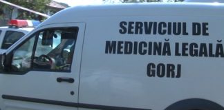 Accident de muncă mortal: A murit strivit de un copac