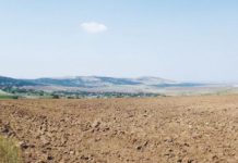 Câte terenuri și case s-au vândut în Gorj