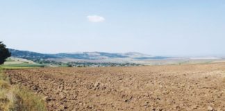 Câte terenuri și case s-au vândut în Gorj