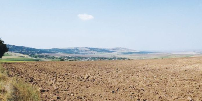 Câte terenuri și case s-au vândut în Gorj