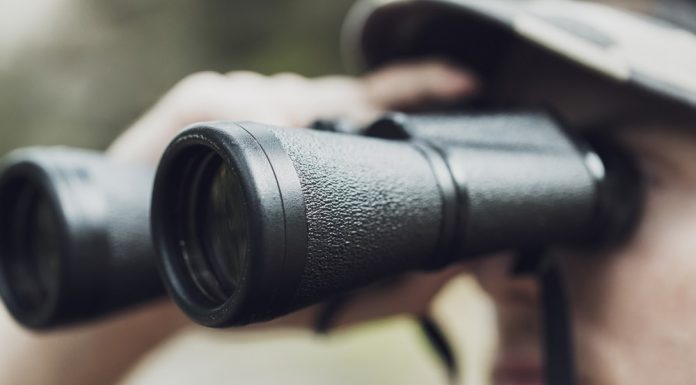 Vânătoarea, între sport şi pasiune