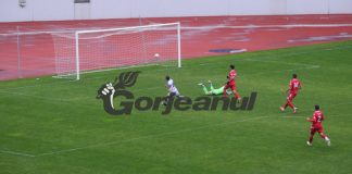 Ultimul cartuș? Pandurii trebuie să treacă de Slatina