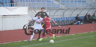 Pandurii a retrogradat! Cojocaru se gândește tot la liga secundă