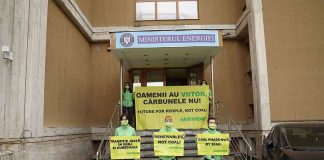 Activiştii Greenpeace, la uşa ministrului Virgil Popescu