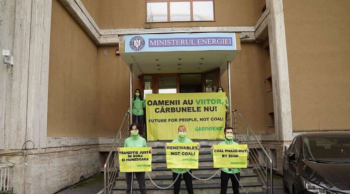 Activiştii Greenpeace, la uşa ministrului Virgil Popescu