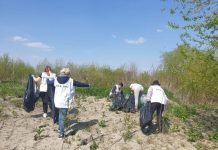 Ecologiștii de la PER Gorj au curățat malul Jiului de gunoaie