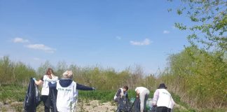 Ecologiștii de la PER Gorj au curățat malul Jiului de gunoaie