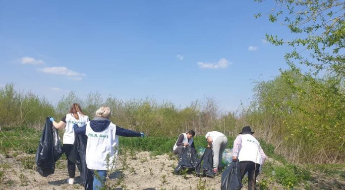 Ecologiștii de la PER Gorj au curățat malul Jiului de gunoaie