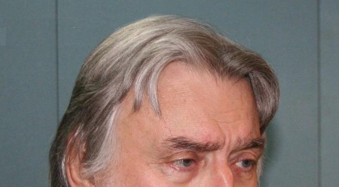 Adrian Păunescu, politica şi literatura