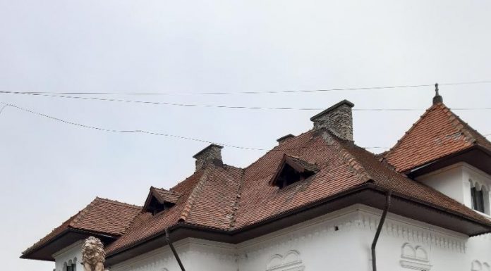 Arhitectul Julius Doppelreiter, creator de case cu personalitate(II)