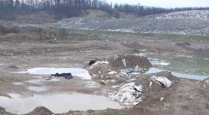Imagini apocaliptice, lângă groapa de gunoi a municipiului Târgu Jiu