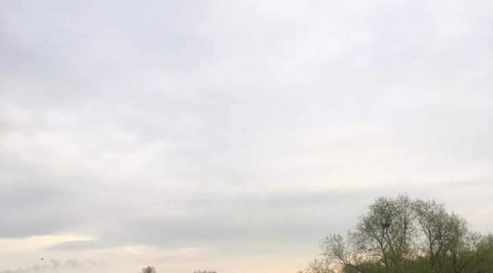 Controale de depistare a pescarilor!