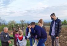 Peste o sută de plase cu alimente! Tinerii din TSD Gorj, aproape de nevoiași