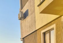 Verificări ale autorităților privind câinii adoptați sau revendicați în Motru