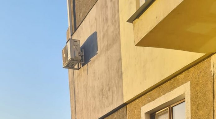 Verificări ale autorităților privind câinii adoptați sau revendicați în Motru