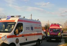 Bărbat din Văleni, în șoc anafilactic de la mai multe înțepături de albine