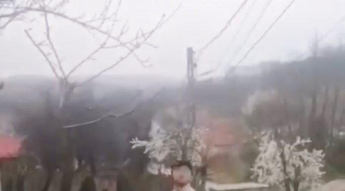 „Teroristul” din Berlești – înjură, bate și amenință pe oricine!