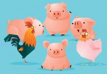 APIA efectuează plăți pentru beneficiarii Măsurii 14 – Bunăstarea animalelor