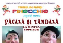 ,,Păcală și Țândală”, la Teatrul Dramatic ,,Elvira Godeanu”
