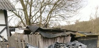 Amenzi de 5.000 lei pentru doi gorjeni