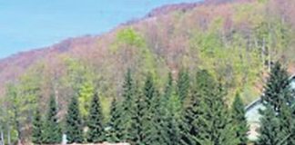 Investiții de peste 2 milioane de lei la cazarma din Budieni