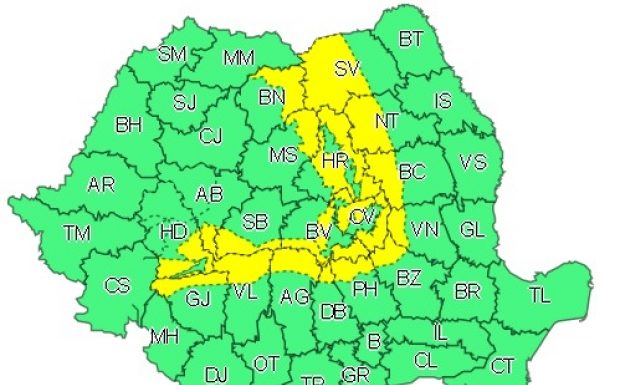 Cod galben de ninsori