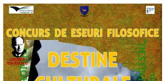 Ultimele săptămâni de înscrieri la concursul de eseuri ,,Destine culturale europene”