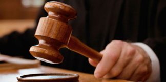 Condamnat pentru că a instigat la tăiere ilegală de arbori