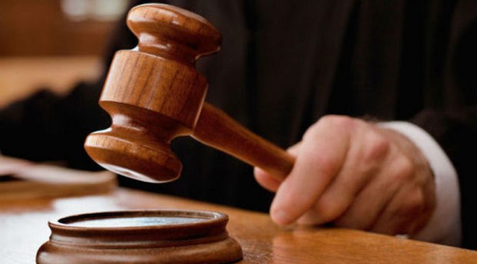 Condamnat pentru că a instigat la tăiere ilegală de arbori