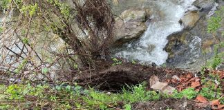 Alimentarea cu apă a municipiului Târgu-Jiu, în pericol. Lucrări urgente!