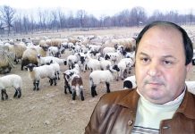 Fostul primar de Prigoria, executat silit! A pierdut un munte și are de restituit subvențiile primite de la APIA