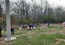 Critici și apoi ecologizare la Drăguțești