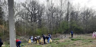 Critici și apoi ecologizare la Drăguțești