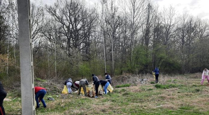 Critici și apoi ecologizare la Drăguțești