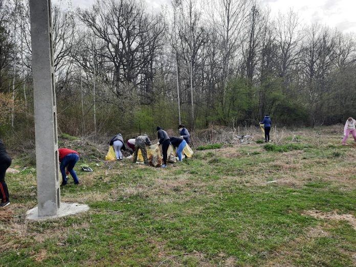 ecologizare dragutesti (1)