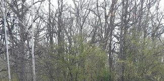 Supravegheați video pentru a nu mai arunca gunoiul în locuri neamenajate