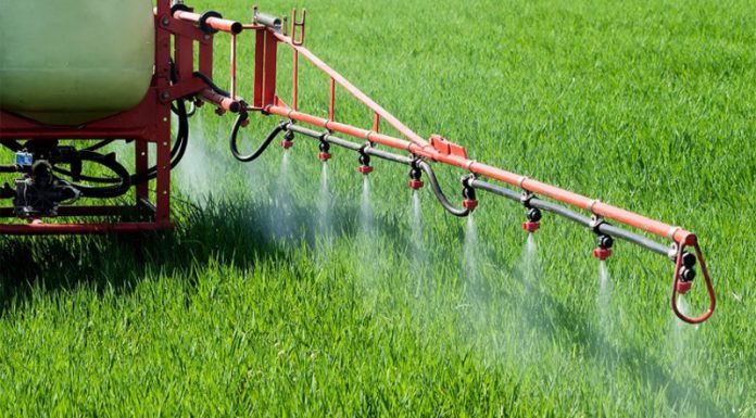 Agricultura pe înțelesul tuturor – Graficul lucrărilor agricole în luna aprilie