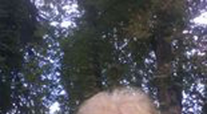 Liga Femeilor Gorjene „Arethia Tătărescu”, într-o retrospectivă aniversară