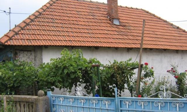 A dat iama în curţile oamenilor! Dosar penal pentru furt calificat