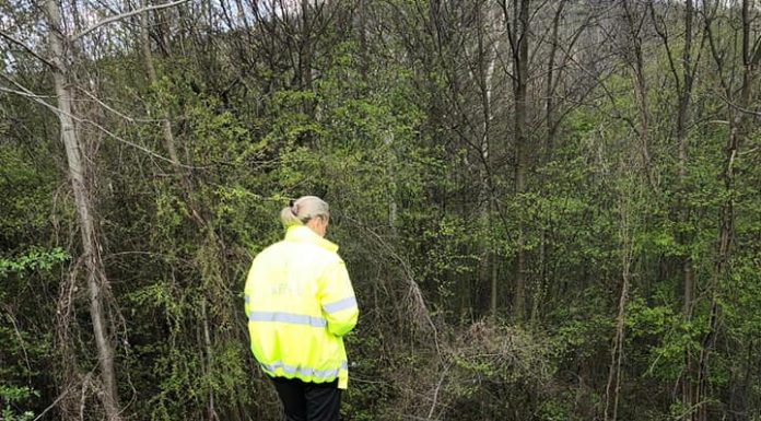 Amenzi pentru gunoaie, la Samarinești