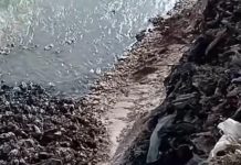 Târgujian către autorităţi: Hai sictir!