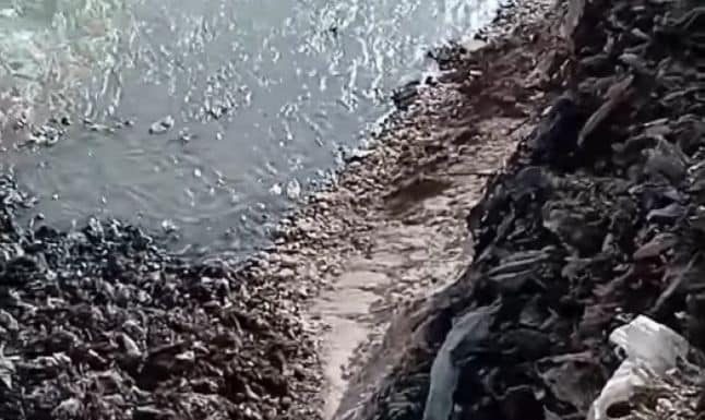 Târgujian către autorităţi: Hai sictir!