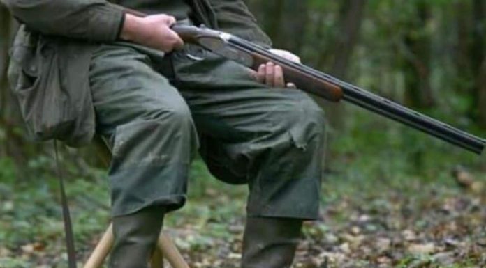 Pădurarii cer armament pentru autoapărare şi intervenţie! Protest